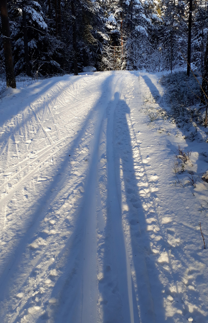 My shadow when I went skiing