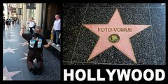 My Star in Hollywood ...