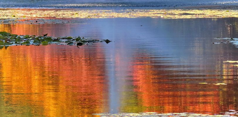 My Sunday Morning Fantasy