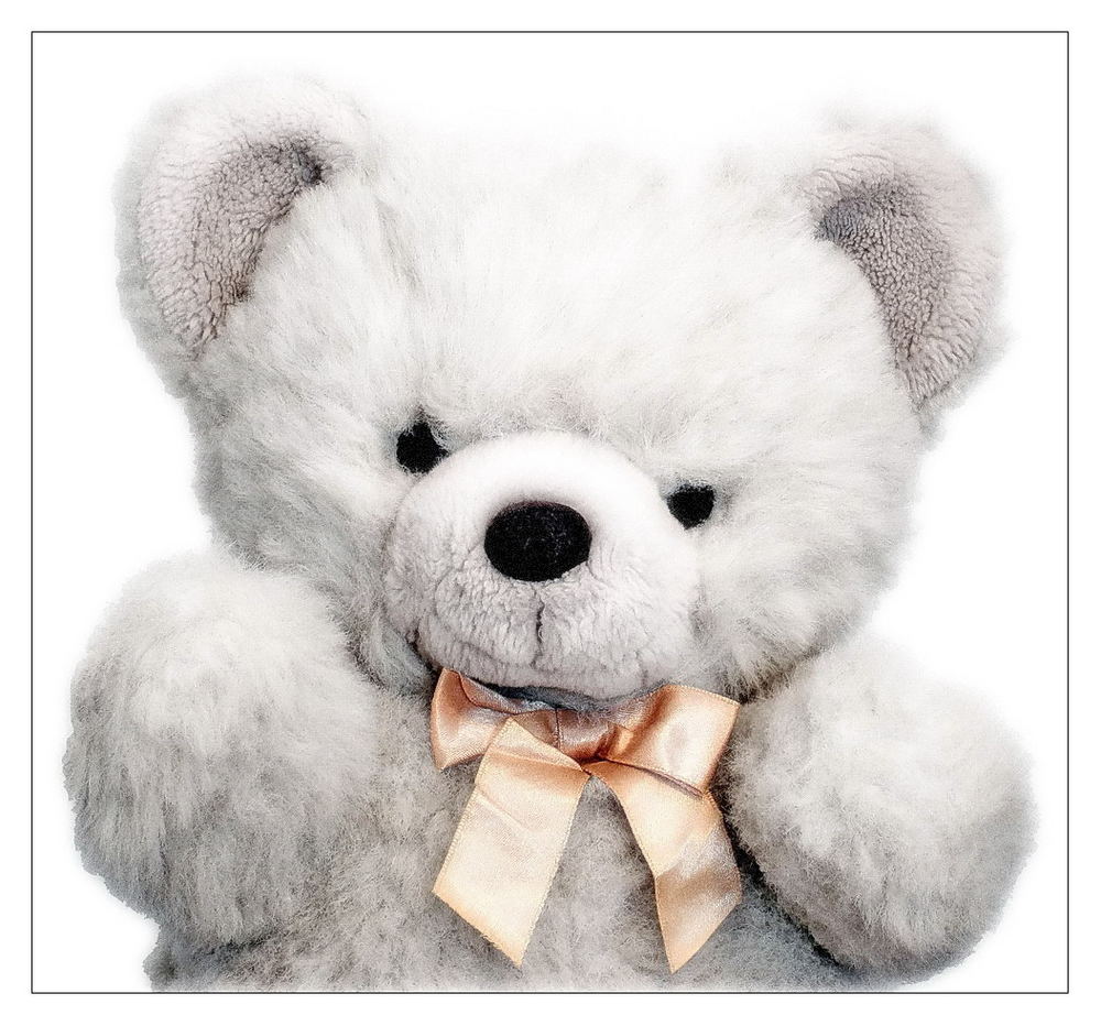 ::::: My Teddybear :::::