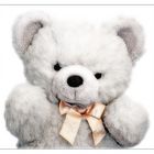 ::::: My Teddybear :::::