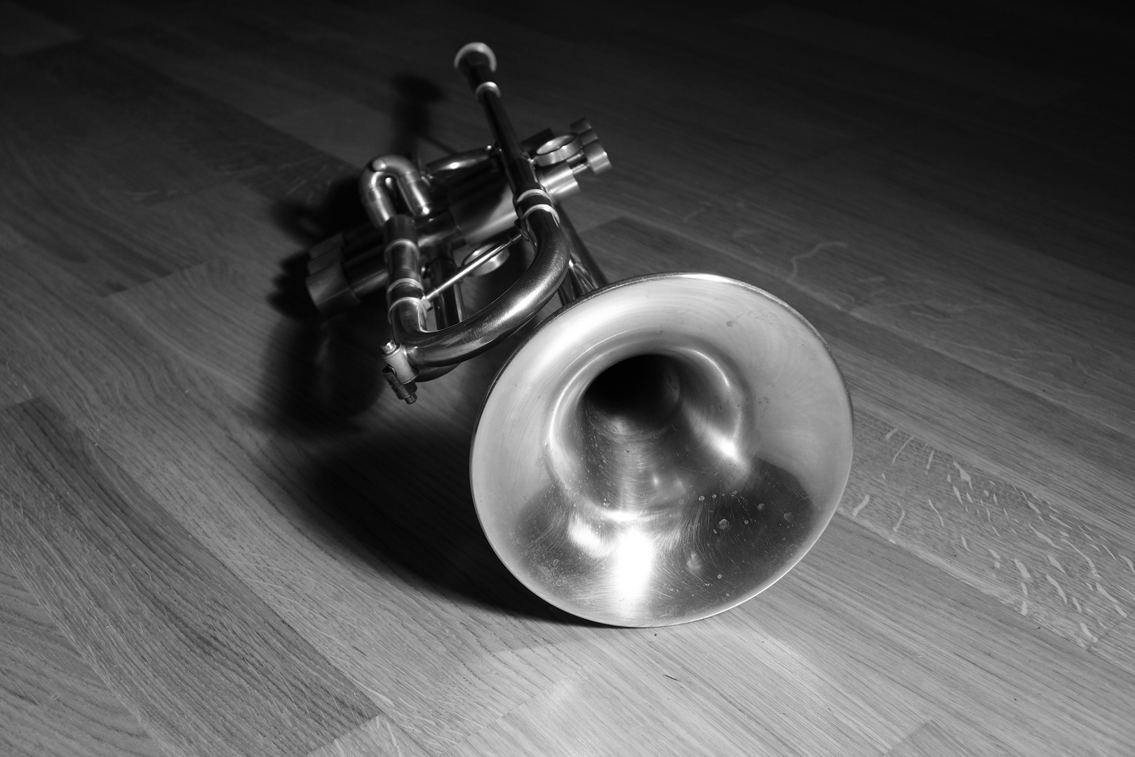 my trumpet