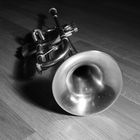 my trumpet