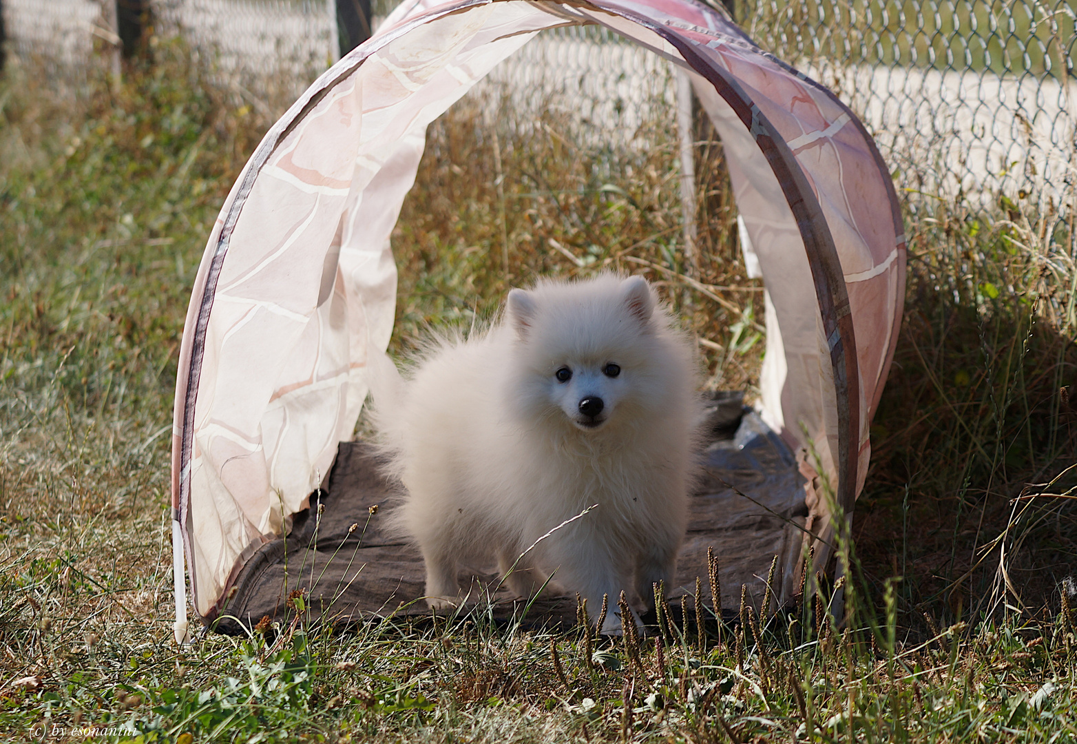 My tunnel, is my castle