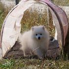 My tunnel, is my castle