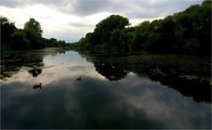 My Two Ducks and Three Boats