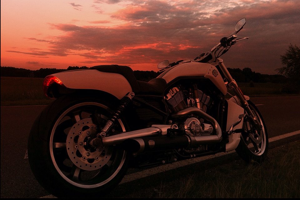 my V-ROD Muscle white hot denim @sundowner