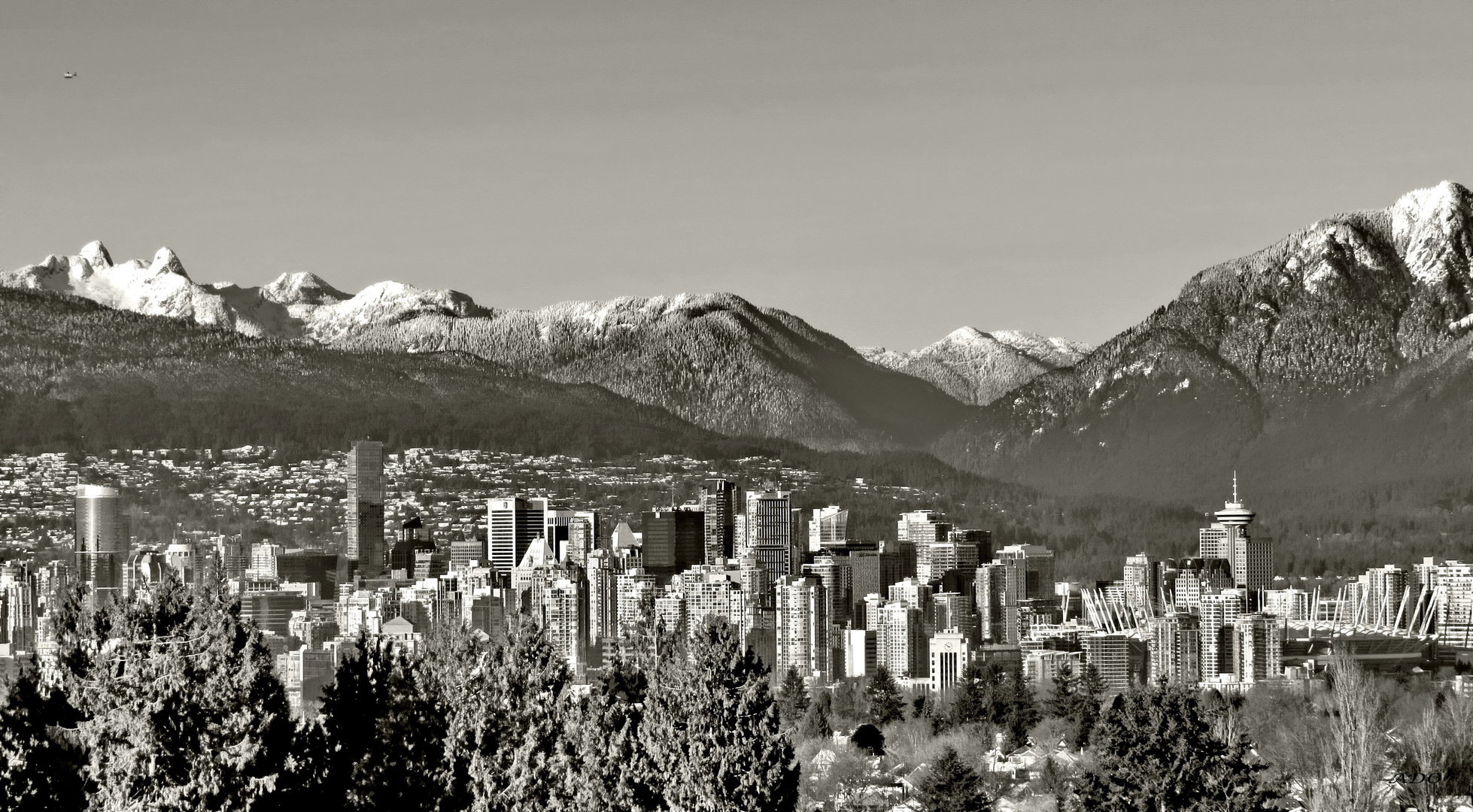 My Vancouver