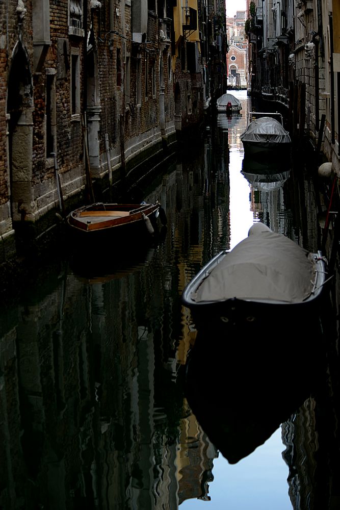 My Venedig
