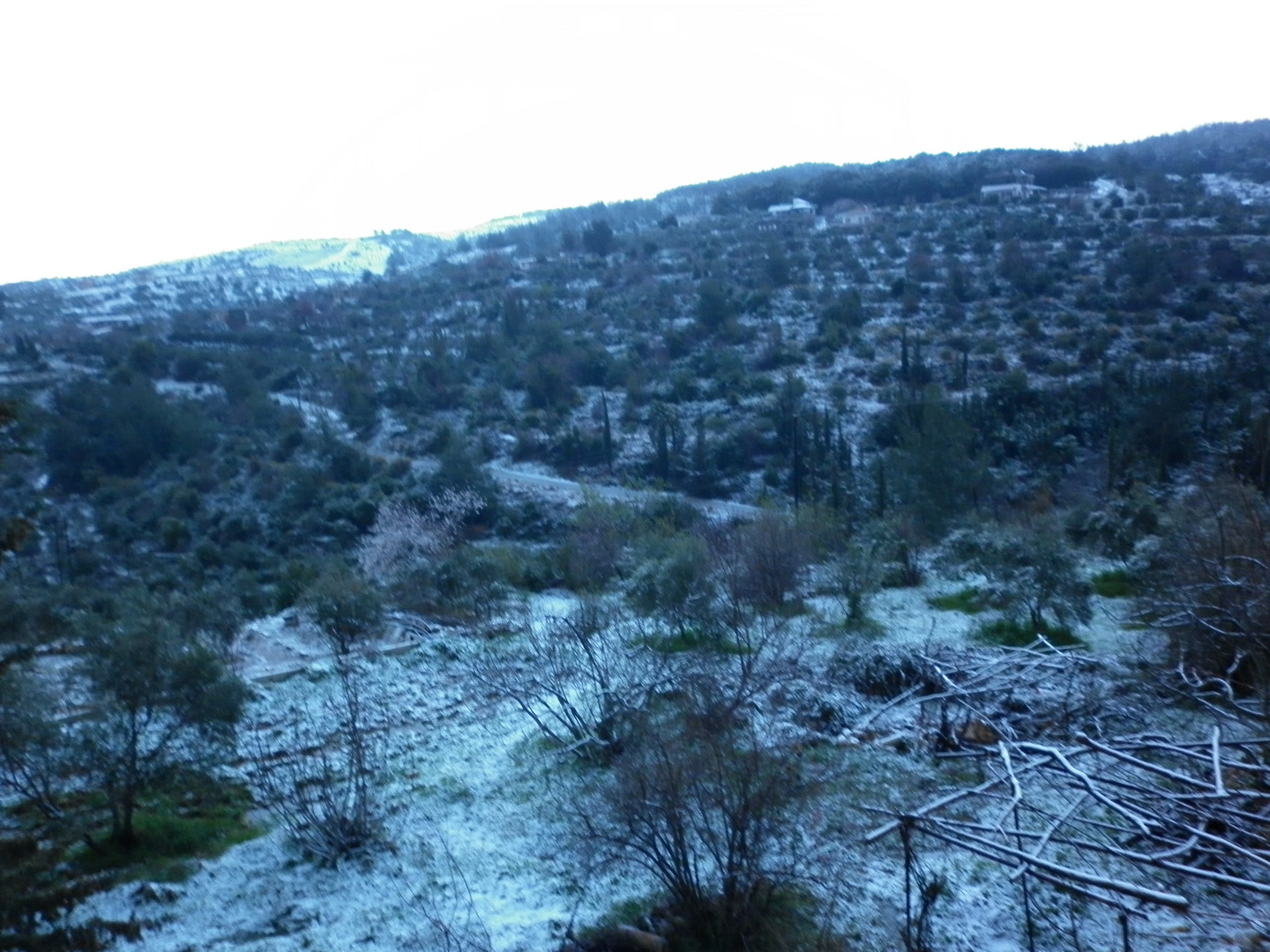 my village 2012..winter