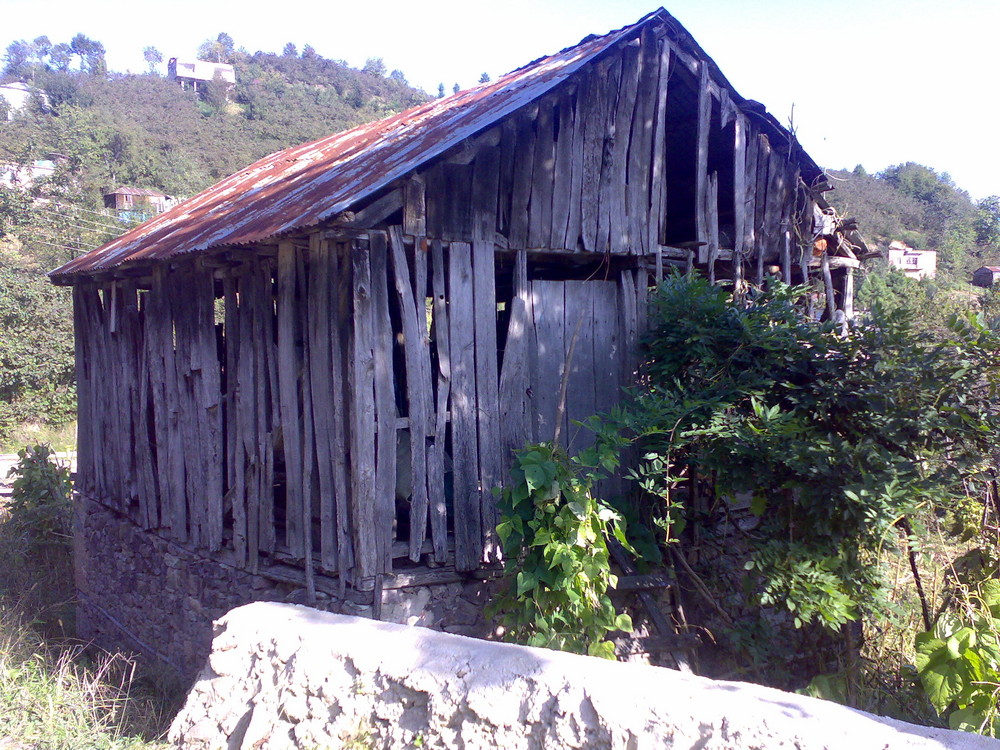 my village aladere giresun