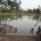 My Village Lotus Pond