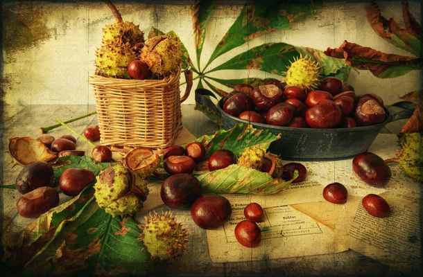 my Vintage - Oktober