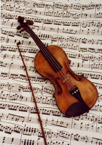 my violin