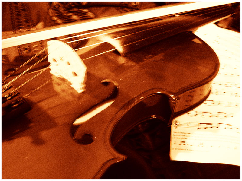 my violine