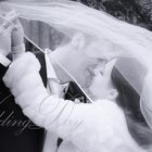 My Wedding 4