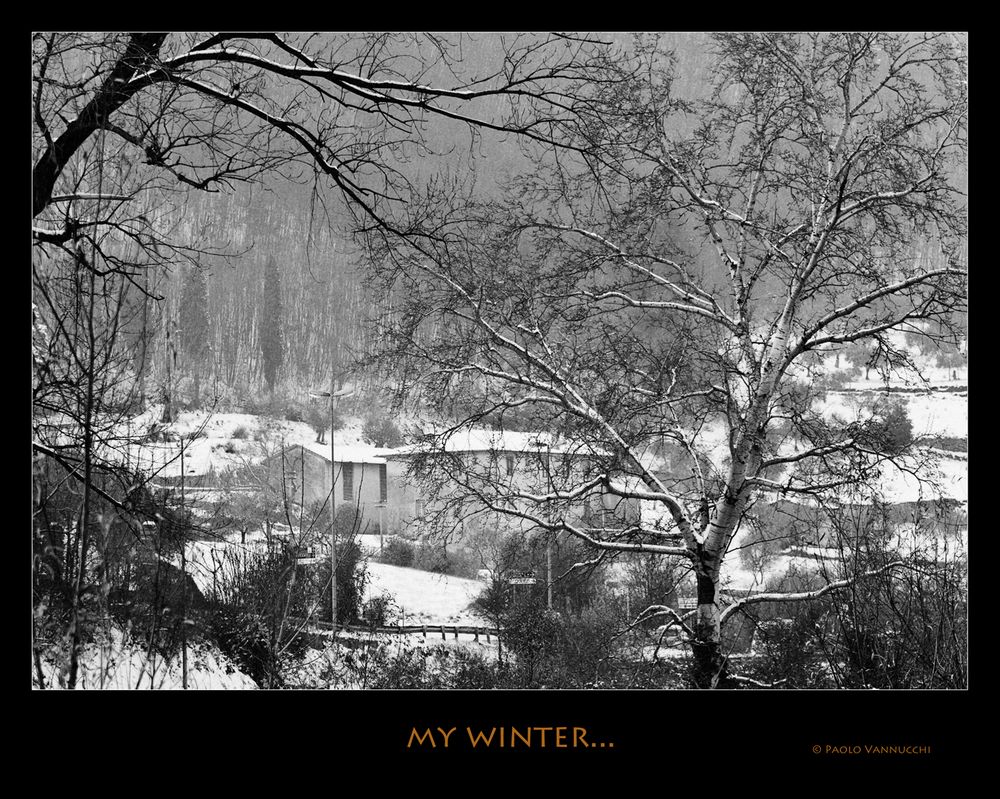 My winter....