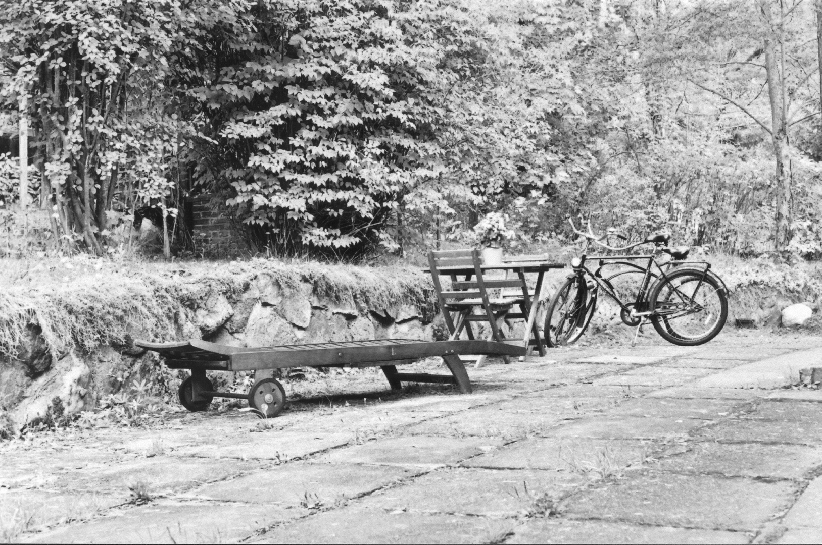 My yard scanned from b&w analog