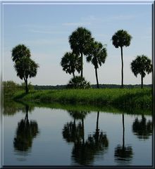 Myakka River