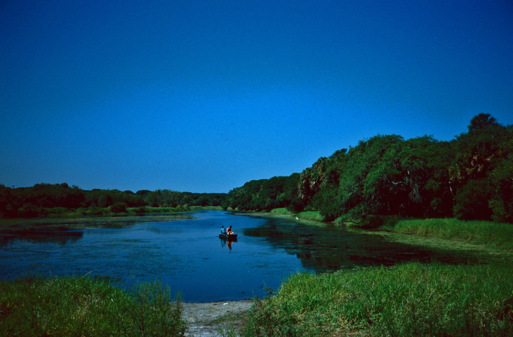 Myakka River State Park, FL - 1989