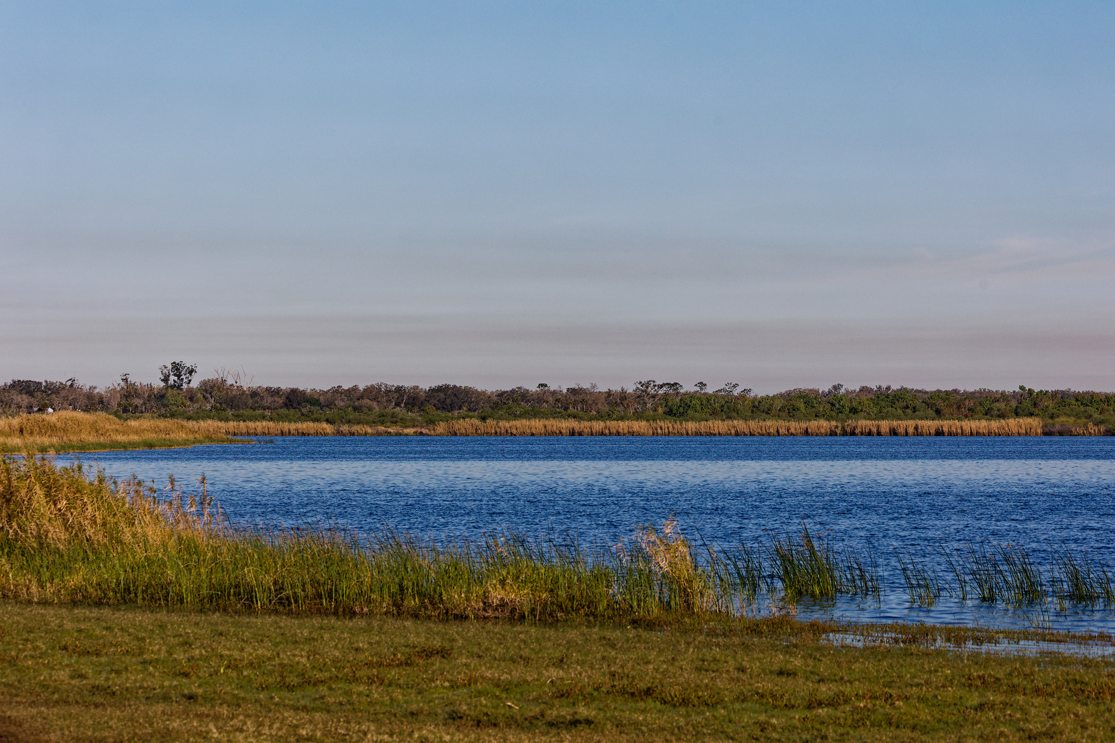 Myakka Statepark