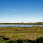 Myakka Statepark_1