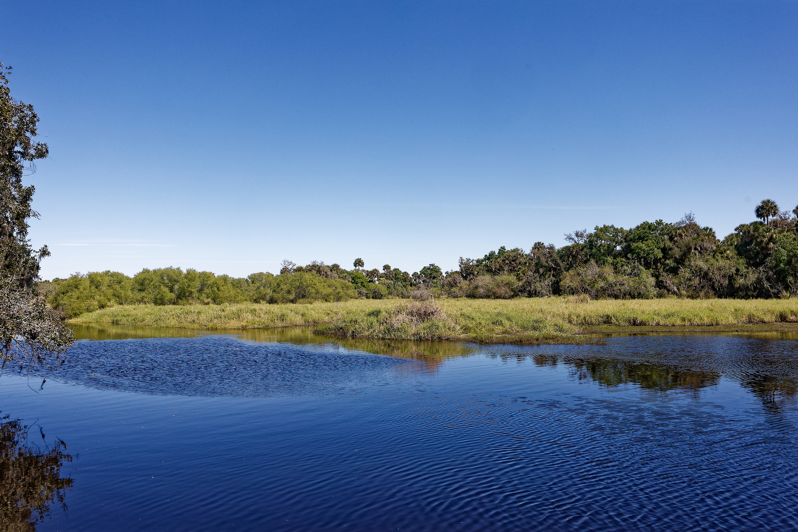 Myakka Statepark_2