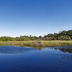 Myakka Statepark_2