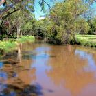 Myall Creek