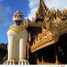 Myanmar 01: Aufgang zur Shwedagon-Pagode in Yangon ( Rangun )