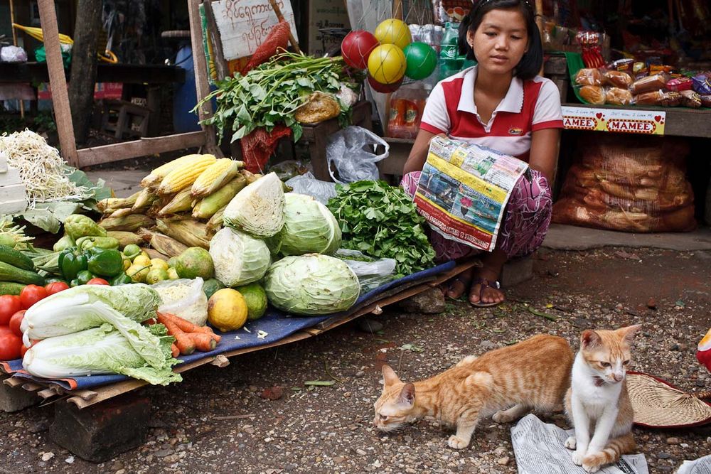 Myanmar (10)