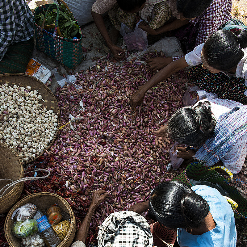 MYANMAR BIRMANIA-9