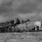 Myanmar country life