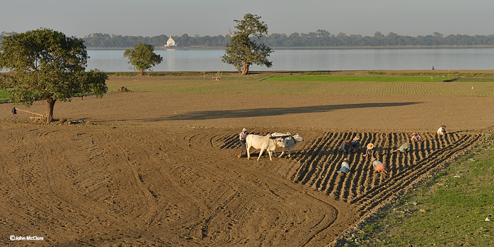 Myanmar farming