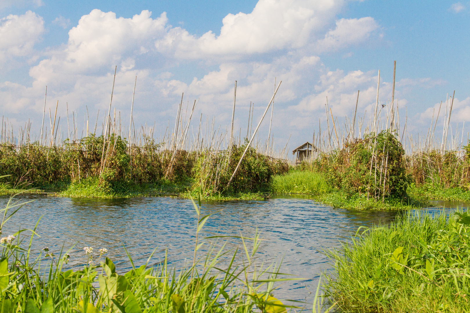 Myanmar Ingle Lake 2