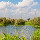 Myanmar Ingle Lake 2