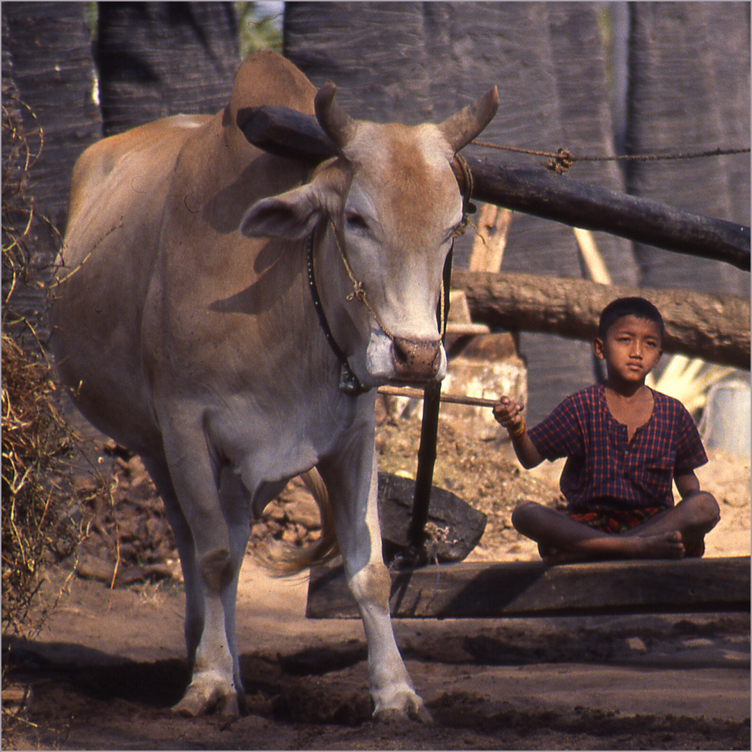 Myanmar_Junge
