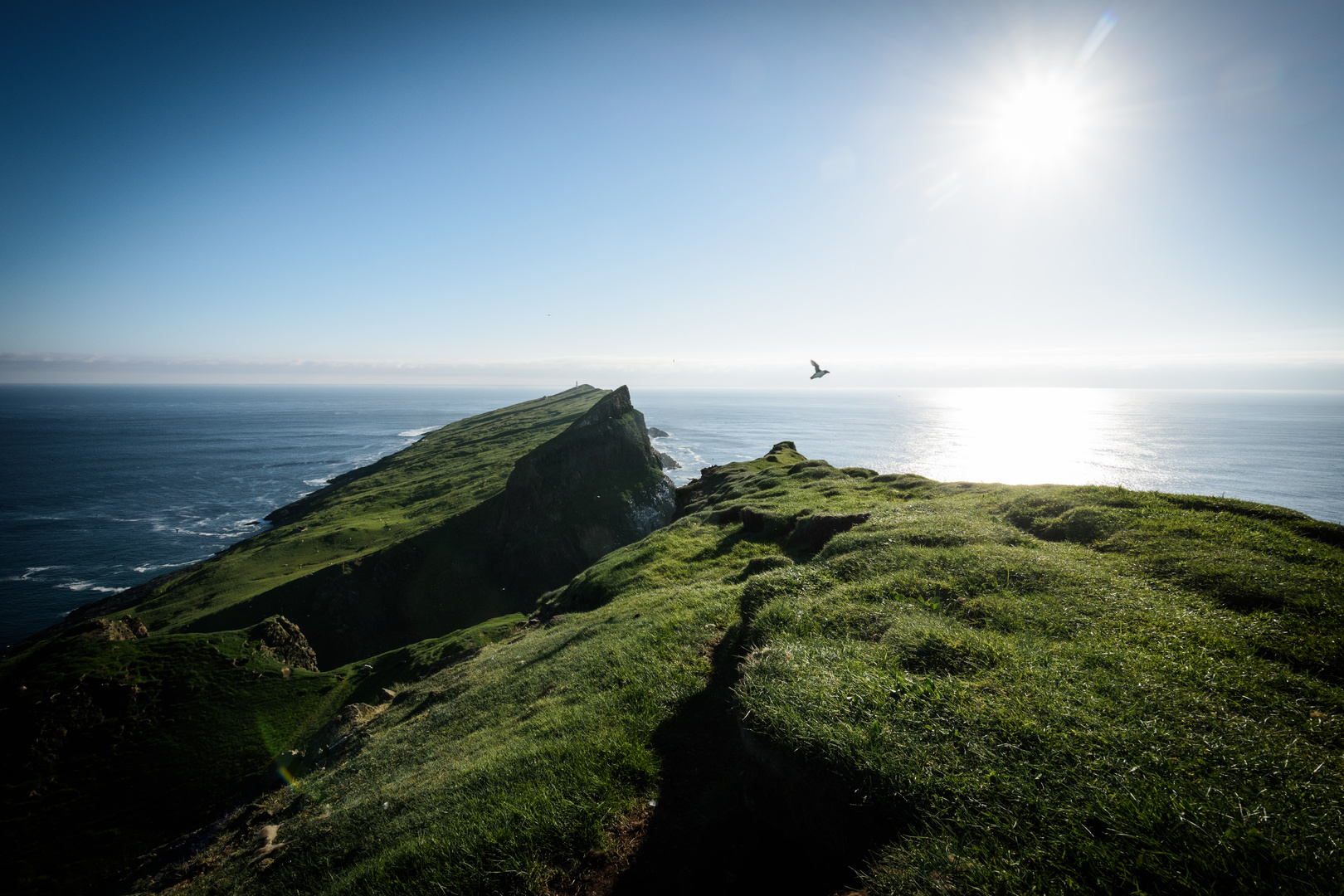Mykines Foto & Bild landschaft, meer & strand, steilküsten Bilder auf