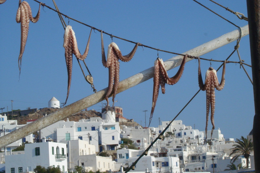 Mykonos: Szene am Hafen