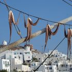 Mykonos: Szene am Hafen