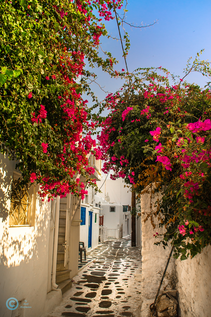 Mykonos,immer eine Reise Wert