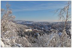 Mylau im Winterkleid