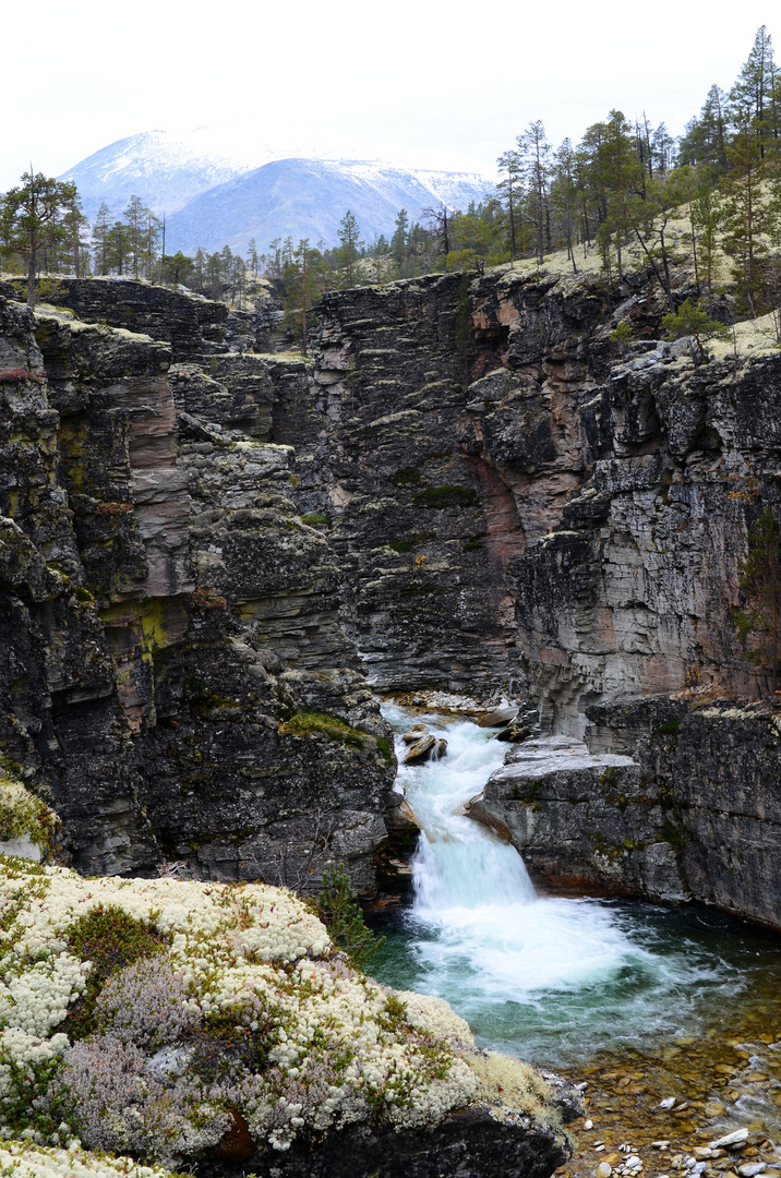 Myldingi Naturreservart