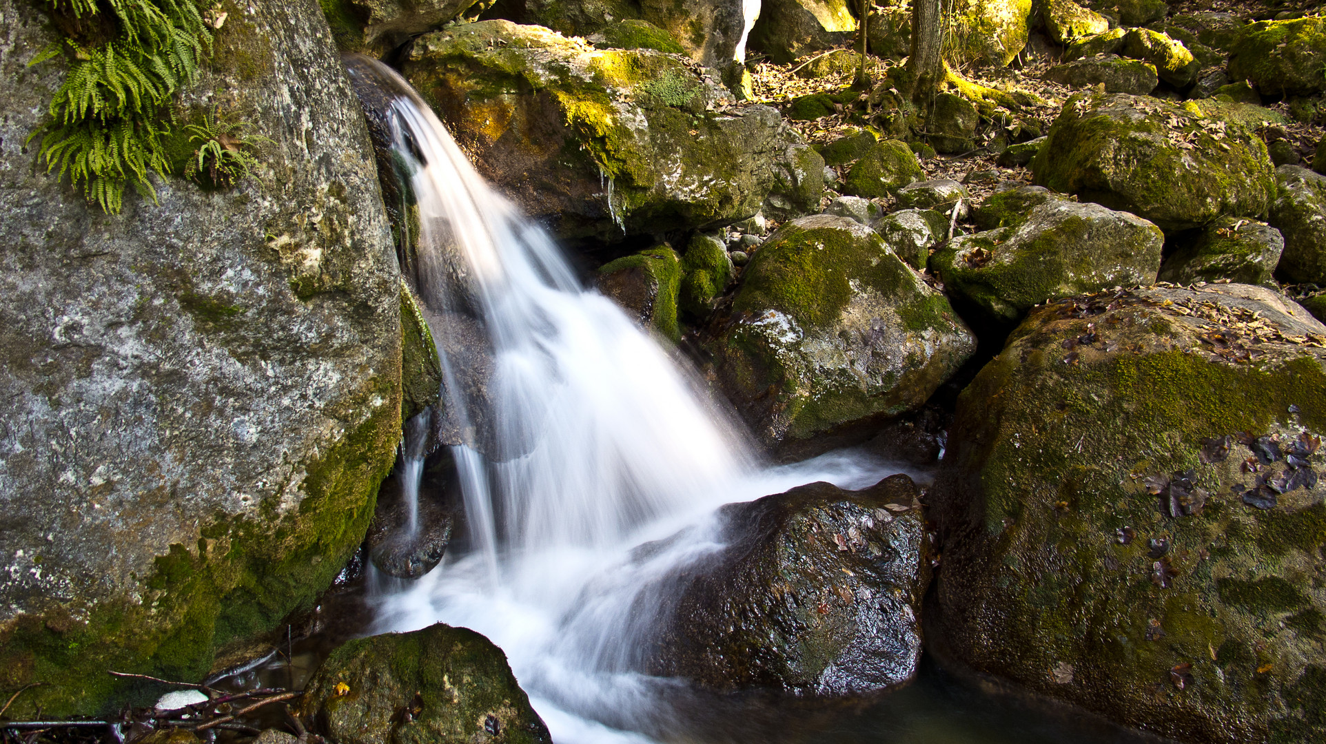 Myrabachlauf