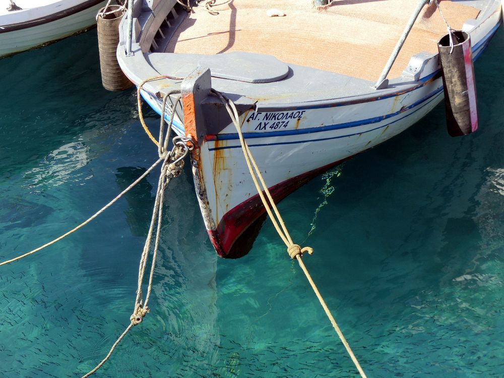 Myriades de petits poissons dans le port