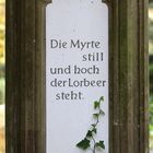 Myrte