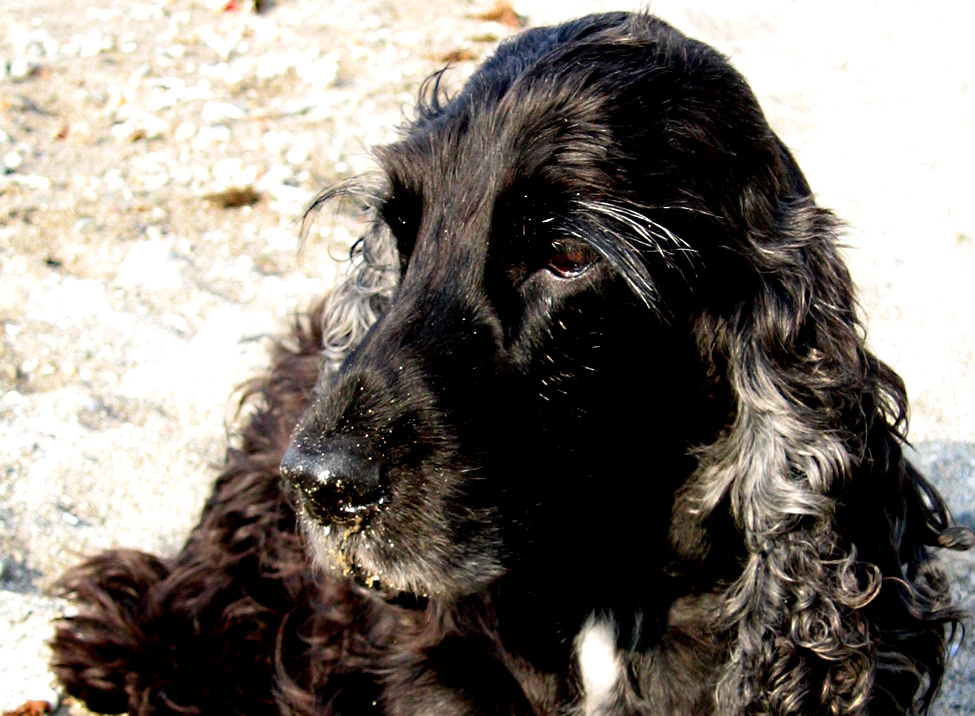 Myself als Ghostwriter ...