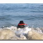 Myself beim Surfen  ... heissa, da bin ich wieder!