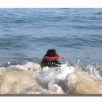 Myself beim Surfen  ... heissa, da bin ich wieder!