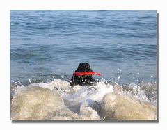 Myself beim Surfen  ... heissa, da bin ich wieder!